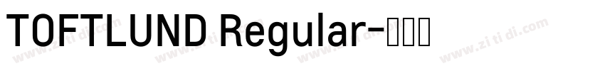 TOFTLUND Regular字体转换